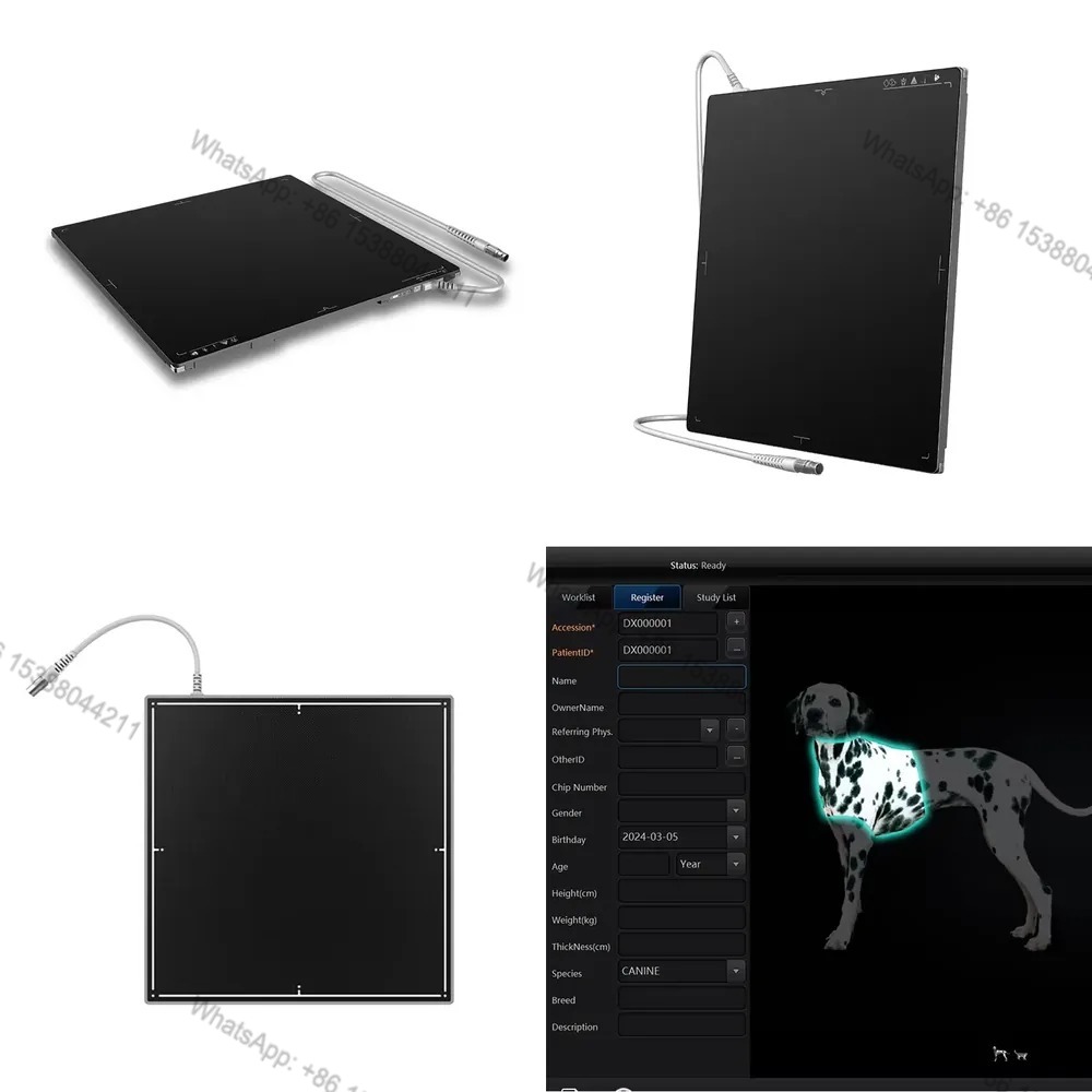 2026 Vendita Calda Rilevatore  - Tech Accessories Brands recensione e prezzo