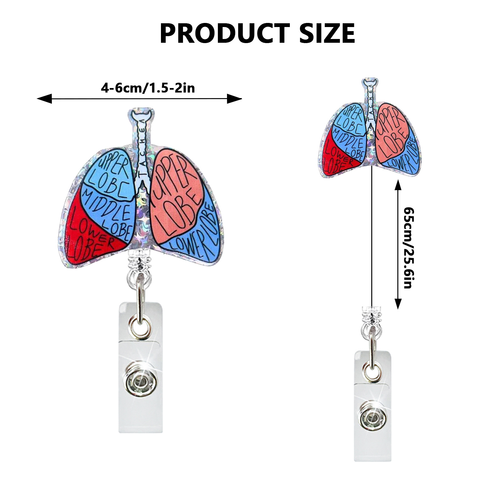 Acrilico Cuore Polmone Cervell - Xray Tech Accessories recensione e prezzo